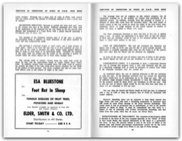 1956 Page 56 57